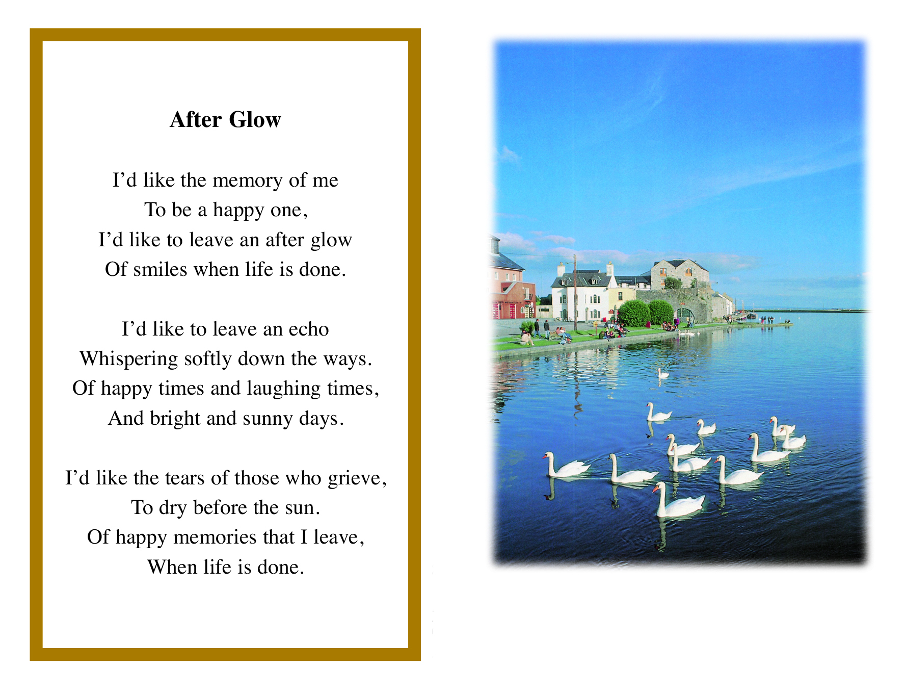 Swans In Spanish Arch Claddagh Galway
