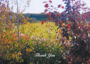 Serene Countryside Irish Memorial Thank You Card